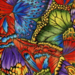 A vibrant collage of overlapping butterfly wings in various colors, including blue, red, green, and purple.