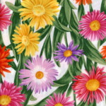 Colorful daisies in shades of yellow, pink, orange, and purple with green leaves on a white background.
