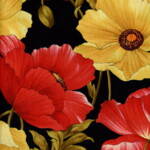 Red and yellow poppies with green leaves against a black background.